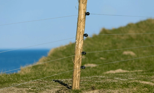 Imagem mostrando o arame de elétrioca aplicado em um mourão de madeira aplicada formando um cercamento em um ambiente rural