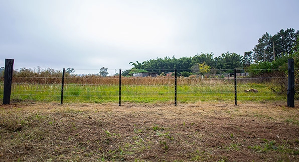 Imagem mostrando a aplicação das telas para horta e jardim em uma fazenda