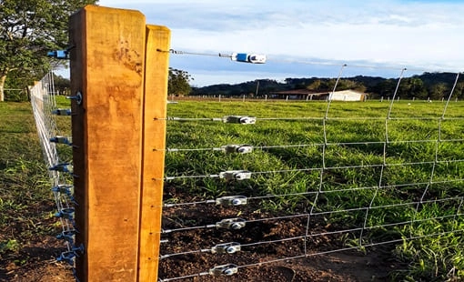 Imagem mostrando uma série de catracas de arame instaladas em um cercamento no ambiente rural próximo a um mourão de madeira